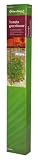 Botanico Lets Grow Tomato Greenhouse 317vRdqR43L. SL160 Botanico Lets Grow Tomato Greenhouse