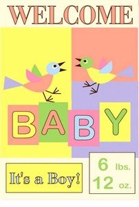 Flag Welcome Baby