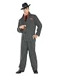 Wizard of Oz Dorothy (TM) Adult Costume