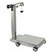 Tools & Hardware : Northern Industrial Tools Bench Scale - 1000-Lb. Capacity