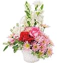 Flowers - Beautiful Life