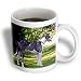 Dogs Great Dane - Blue Merle - Mugs