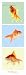 Mr Poisson Art Poster Print by Guillaume Plisson, 13x38