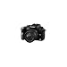 Panasonic Lumix DMC-G1 12.1MP Micro Four Thirds Interchangeable Lens Digital Camera with Lumix G Vario 14-45 mm f/3.5-5.6 ASPH Mega OIS Lens (Black)