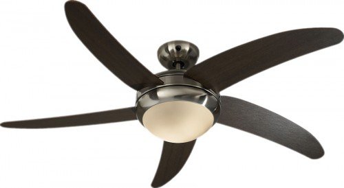 Imagen principal de Pepeo 0