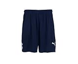 TOTTENHAM HOTSPUR Junior 2011/2012 Home Football Shorts, 28in