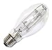 100 watt ED17 Medium Screw (E26) Base Eiko Light Bulb