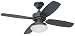 Two Lamp Universal Ceiling Fan Light Kit with White and Amber Piastra 317w0QXvmqL. SL75 Two Lamp Universal Ceiling Fan Light Kit with White and Amber Piastra