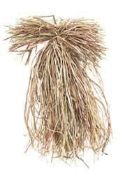 Final Approach Whoopgrass Blind Accessory, Edge Brown