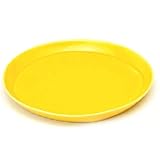 タグイズム　イエロー　プレートＬ 【和皿・洋皿 有田焼】