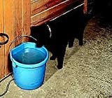 Heated 5 Gallon Flat Back Water Bucket