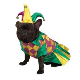 Small Mardi Gras Mrs. Jester Dog Costume