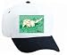 White Cap with cat, white, mouse, grass, lawn