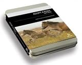 Adopt a Pony Gift Box