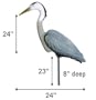 Heron Great Blue