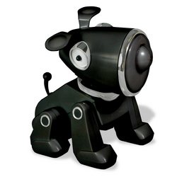 Hip Hop Pet: Black Doggy by Outrageous International