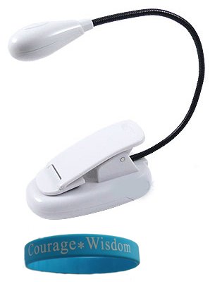 White Kindle light Clip-On TWO LED Book Light eReader White Color Sony Kindle book light clip on