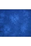 Lastolite LL LB7753 10 x 12 Feet Washable Muslin Background (Mississippi)