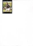 2007 Topps Update UH203 Jamie Vermilyea Blue Jays (RC - Rookie - Baseball Cards)