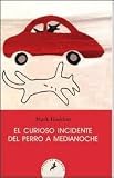 The Curious Incident of the Dog in the Night-Time