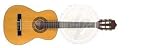 Stagg C505 1/4 Size Classical Guitar