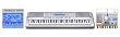 Casio WK-210STAD 76 Dynamic 'Piano Look' Touch Key Full-Size Digital Music Keyboard