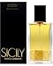 h`FKbo[i VV[ 100ml (EDP-SP)