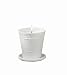 Tag Fresh Herb Scented Candles in Porcelain Bisque, Juniper