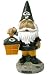 Green Bay Packers 15