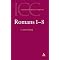 Romans Commentaries and More
