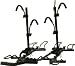 Sporting Goods : SportRack - A30902 - Hitch Plat Form 4 Bike Rack - 4EZ 2"