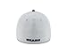 NFL Chicago Bears 2015 39Thirty Stretch Fit Cap, Small/Medium, Gray