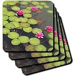 Lilypad with Pink Flowers - Set Of 4 Coasters - Soft
