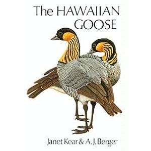 The Hawaiian Goose