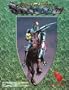 Chivalry & Sorcery 3rd Edition Game Master's Shield
