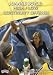 Joanne Boyle: High / Low Continuity Offense (DVD)