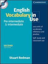 English Vocabulary In Use: Pre-intermediate & Intermediate