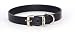 Hamilton 1
