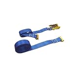2 X 20' E-Track Ratchet Strap with Spring E Fittings, for Interior Van Trailers by US Cargo Control