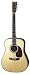 Aria AD-80 Dreadnought Acoustic Guitar