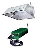 Digital Yield Master Light System 250 w