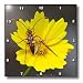 Wildflower Lance Leaf Coreopsis - 10x10 Wall Clock