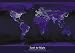 Earth By Night - Nature Poster (Size: 36" x 24")