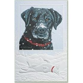 New Snow Black Lab Boxed Christmas Cards - 16 Cards & 17 Envelopes