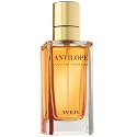 Weil Antilope - 50 ml Eau de Parfum Spray für Damen
