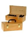 Aromatherapy Kit - 12 x Essential & 4 Carrier Oils + FREE book in Carrying Case