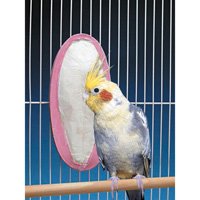 Cuttlebone Mineral Treat Super by Penn Plax