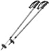 Atlas WOMENS Elektra 2-Piece Snowshoe Poles