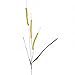 Factory Direct CraftÂ® Group of 12 Colorful Yellow Artificial Cattails for Arranging, Crafting and Embellishing