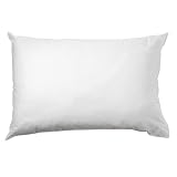 Review -  / Aller-Free Bed Pillow